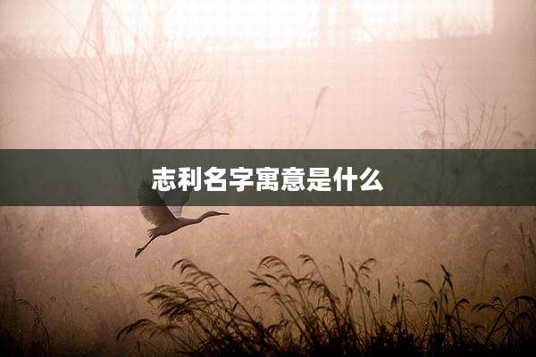 志利名字寓意是什么
