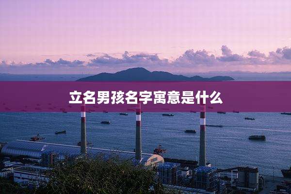 立名男孩名字寓意是什么