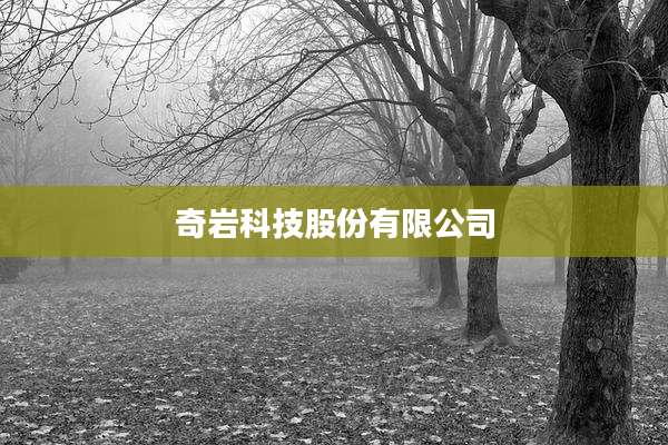 奇岩科技股份有限公司