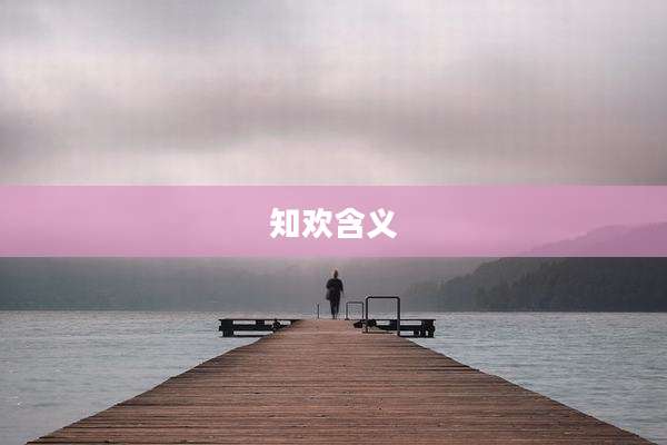 知欢含义