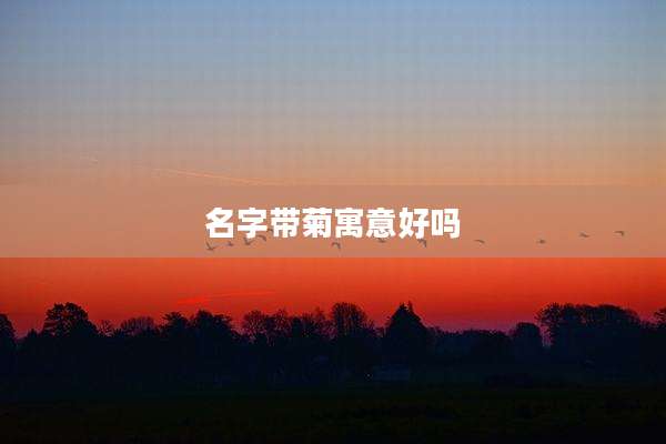 名字带菊寓意好吗