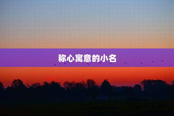称心寓意的小名