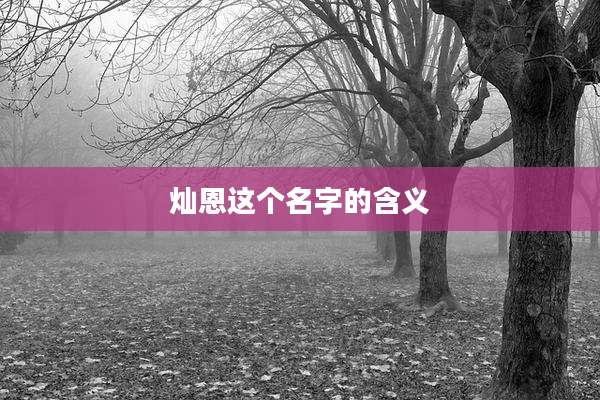 灿恩这个名字的含义