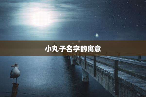 小丸子名字的寓意