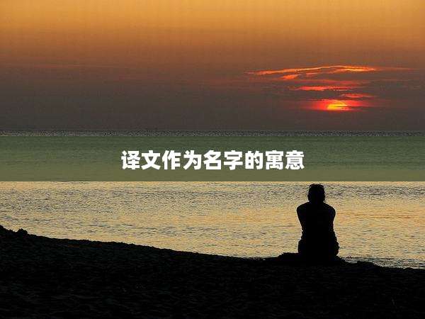 译文作为名字的寓意