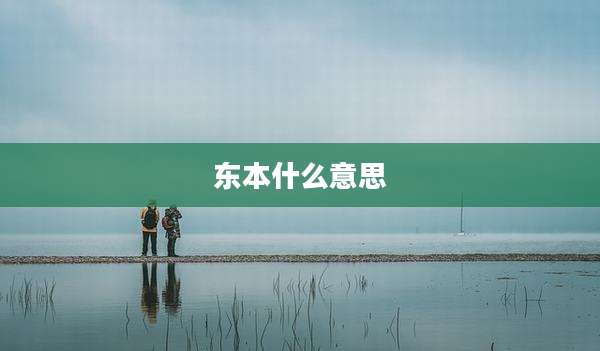 东本什么意思