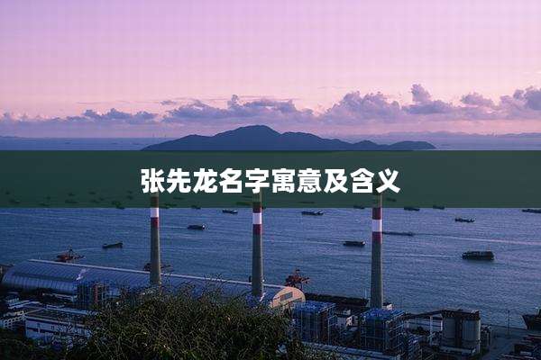 张先龙名字寓意及含义