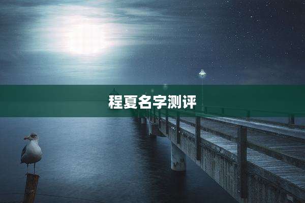 程夏名字测评