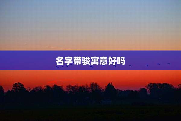 名字带骏寓意好吗
