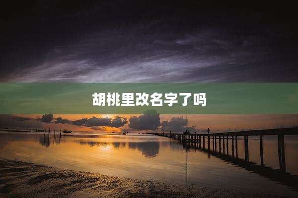 胡桃里改名字了吗