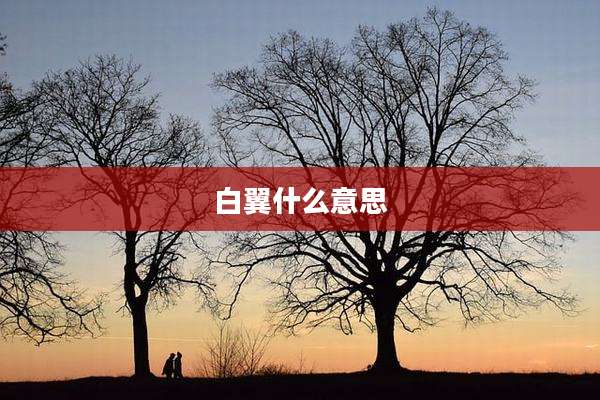 白翼什么意思