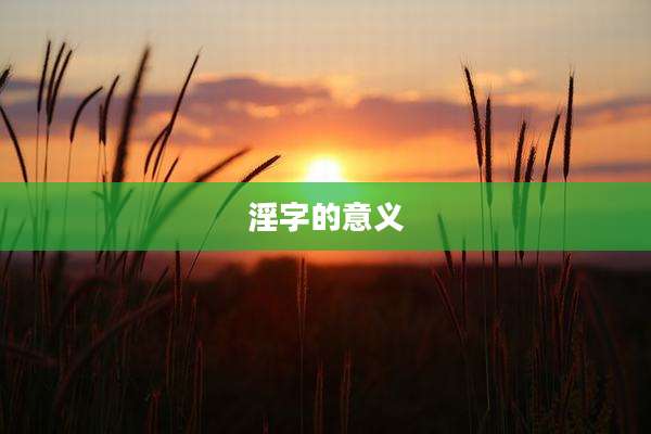 淫字的意义