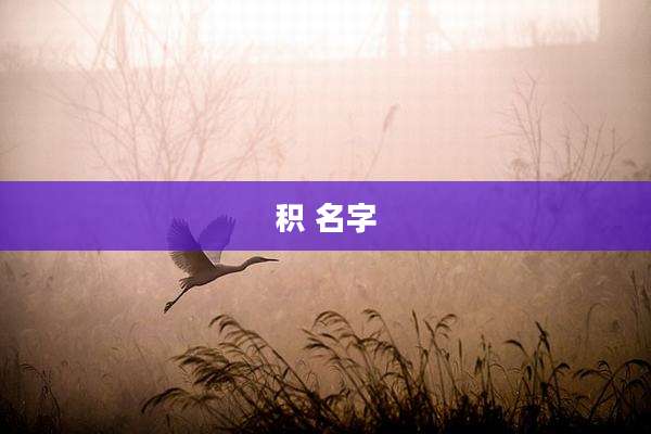 积 名字