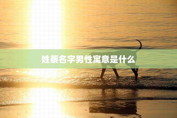 姓蔡名字男性寓意是什么