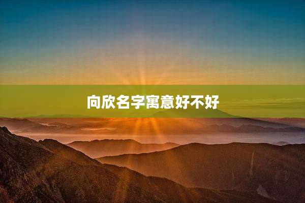 向欣名字寓意好不好