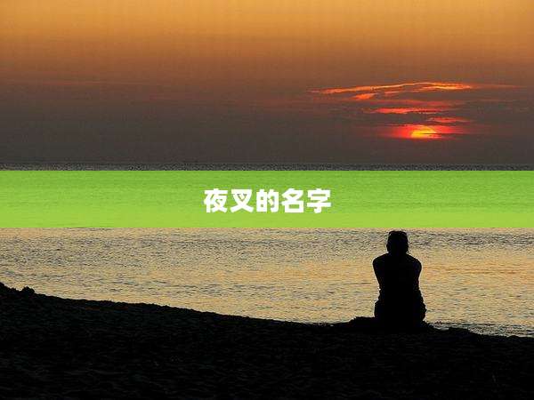 夜叉的名字