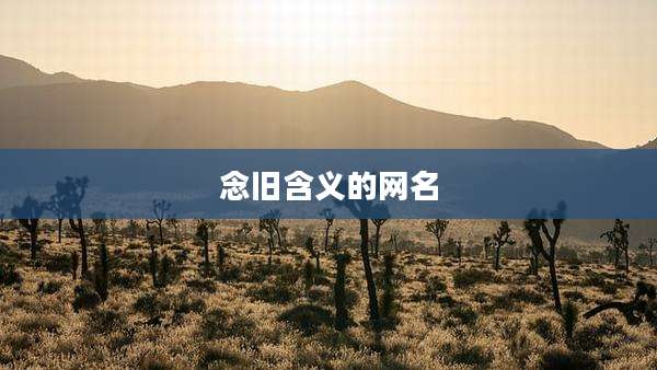 念旧含义的网名