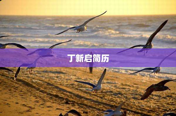 丁新启简历