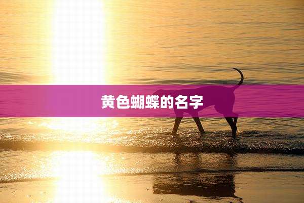 黄色蝴蝶的名字