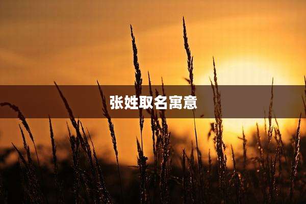 张姓取名寓意