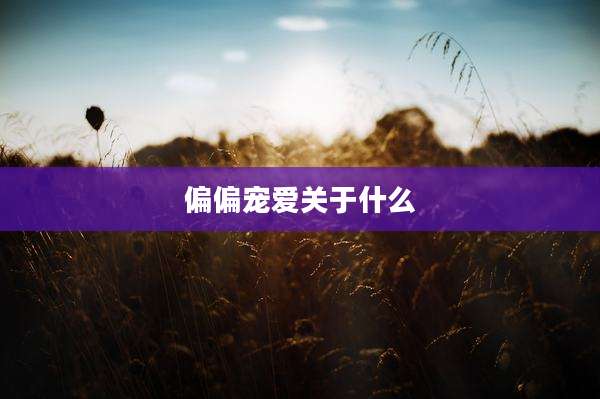 偏偏宠爱关于什么