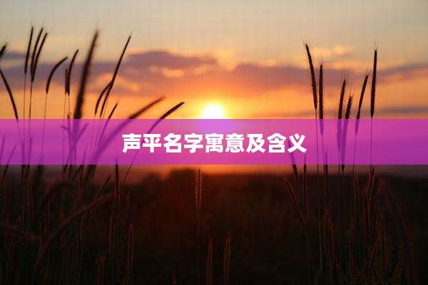 声平名字寓意及含义