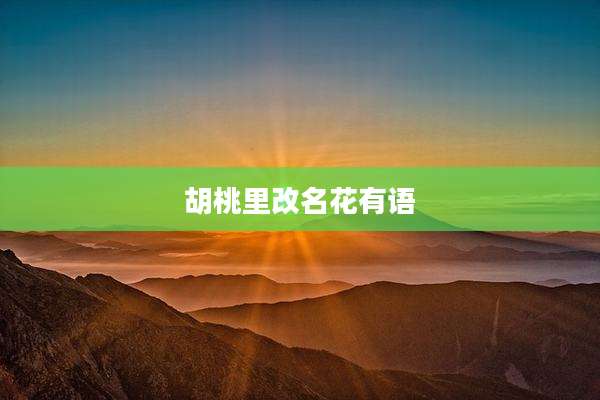 胡桃里改名花有语