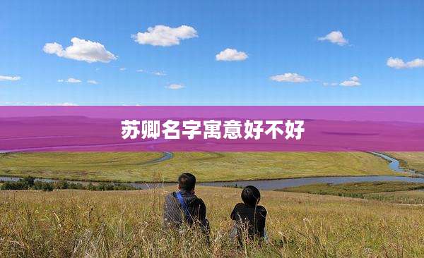 苏卿名字寓意好不好