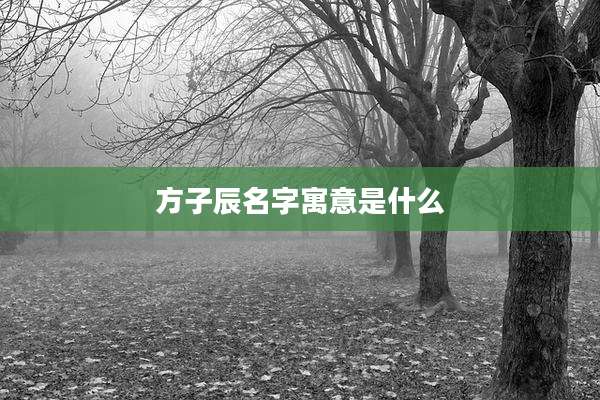 方子辰名字寓意是什么
