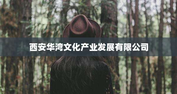 西安华湾文化产业发展有限公司