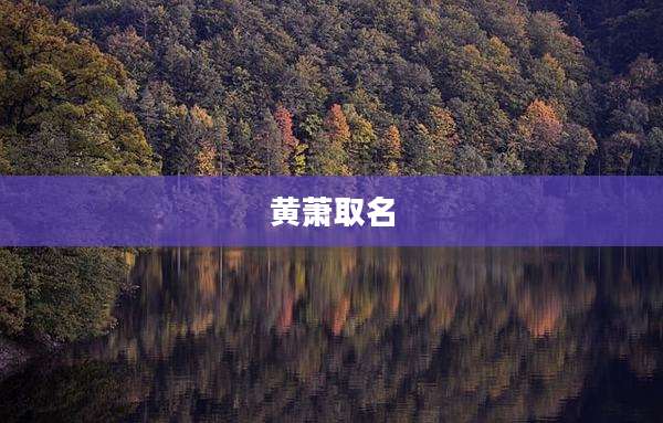 黄萧取名