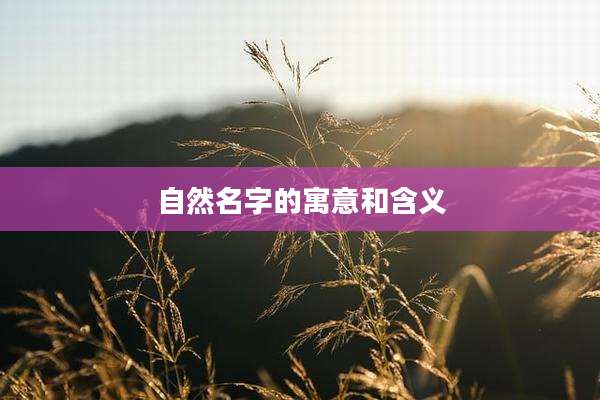 自然名字的寓意和含义