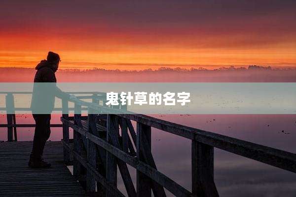鬼针草的名字
