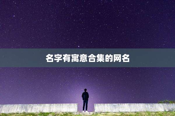 名字有寓意合集的网名