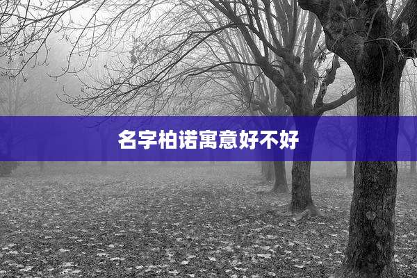 名字柏诺寓意好不好