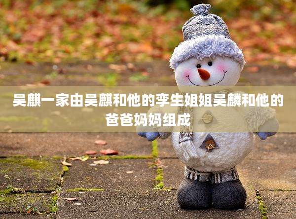 吴麒一家由吴麒和他的孪生姐姐吴麟和他的爸爸妈妈组成