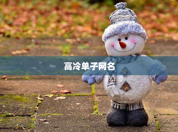 高冷单子网名