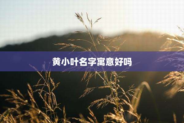 黄小叶名字寓意好吗