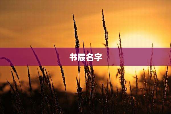 书辰名字