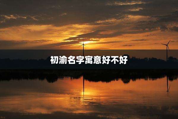 初渝名字寓意好不好