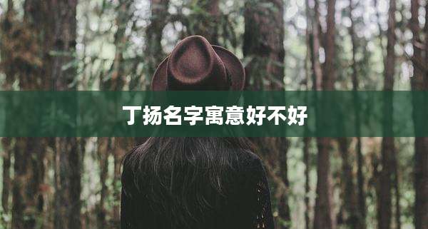 丁扬名字寓意好不好