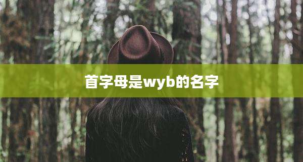 首字母是wyb的名字