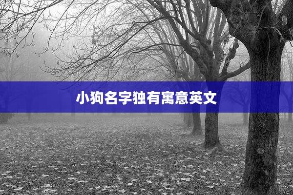 小狗名字独有寓意英文