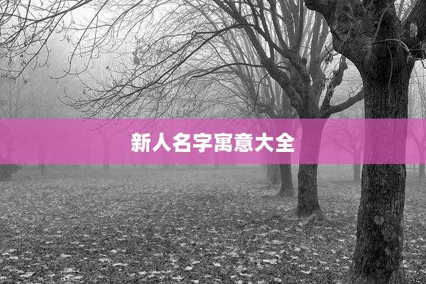 新人名字寓意大全
