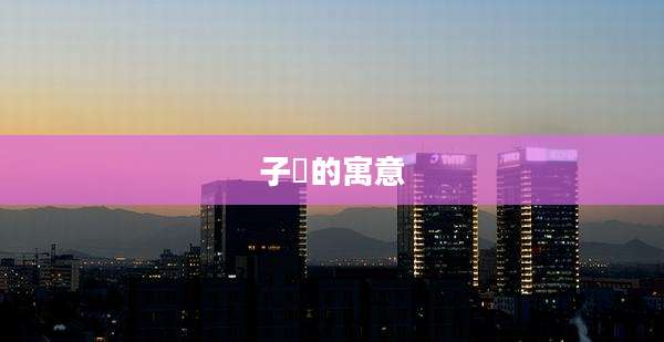 子瑄的寓意