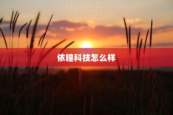 依瞳科技怎么样