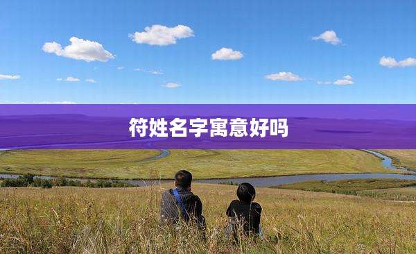 符姓名字寓意好吗