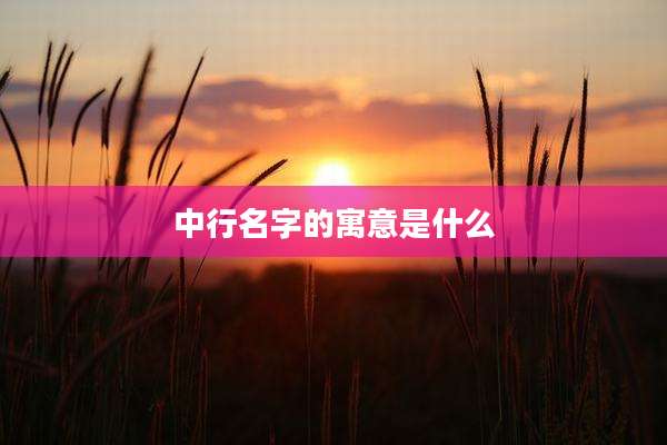 中行名字的寓意是什么