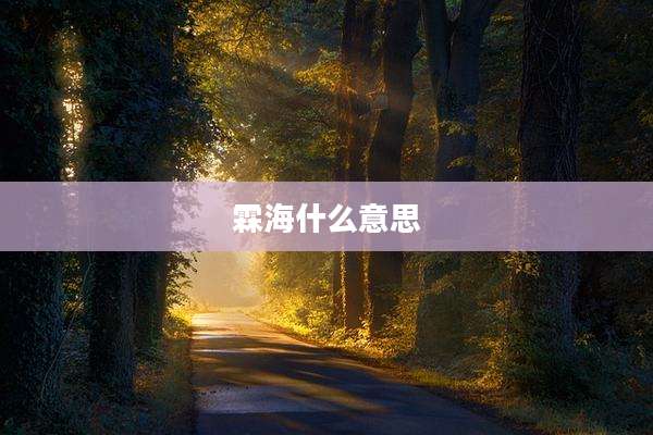 霖海什么意思