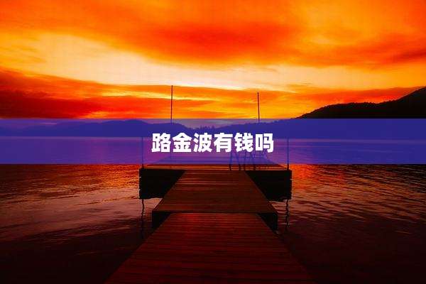 路金波有钱吗